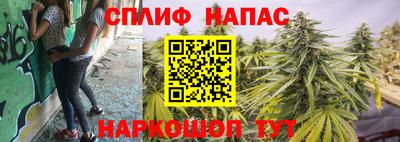 СК Пушкино